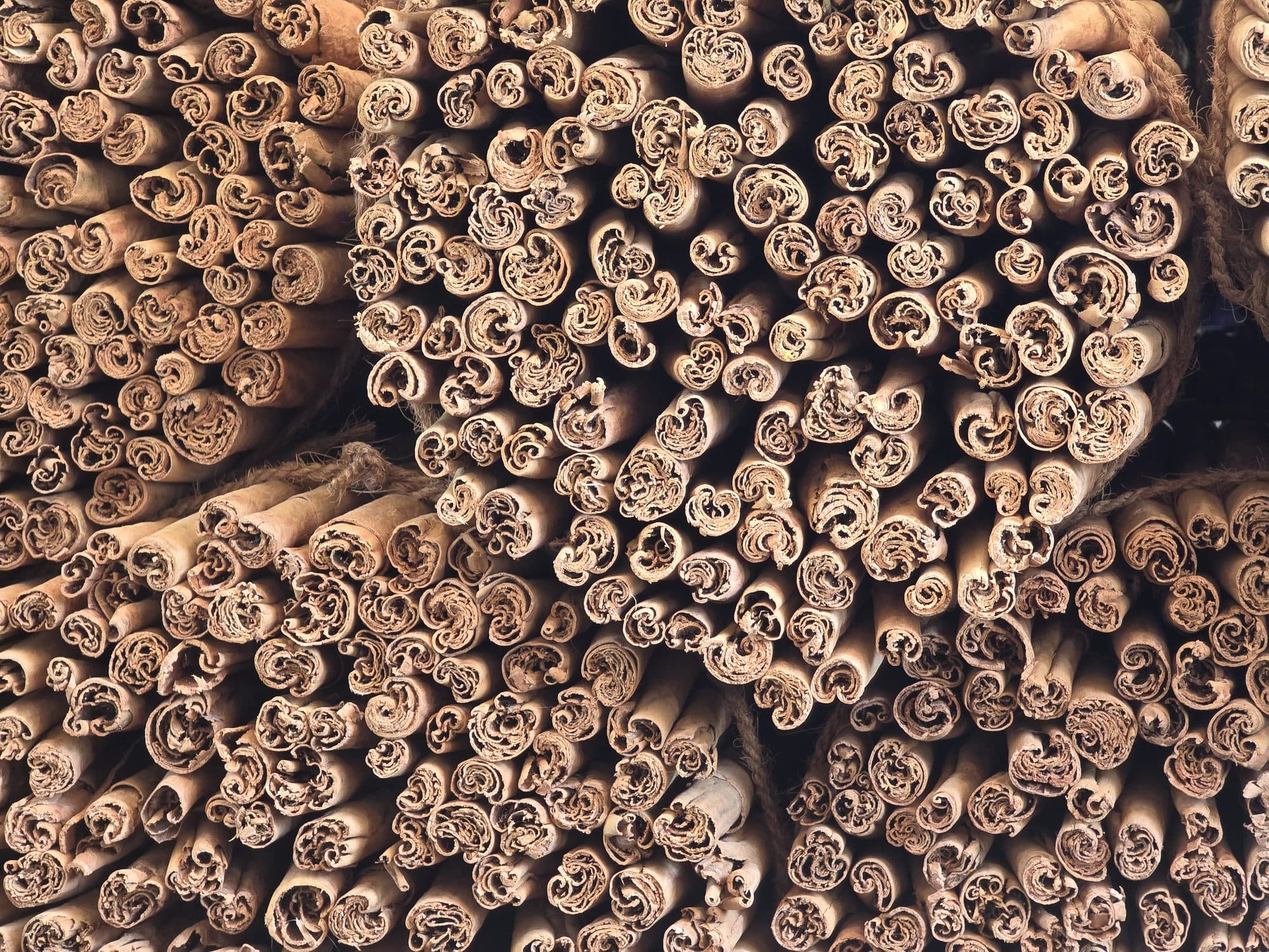 Bundled cinnamon quills prepared for export
